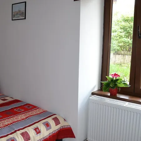Haydn Vintage Brasov