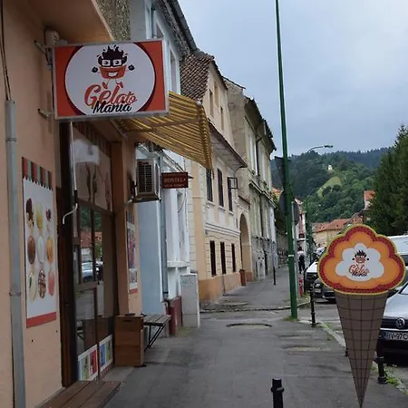 Haydn Vintage * Brasov