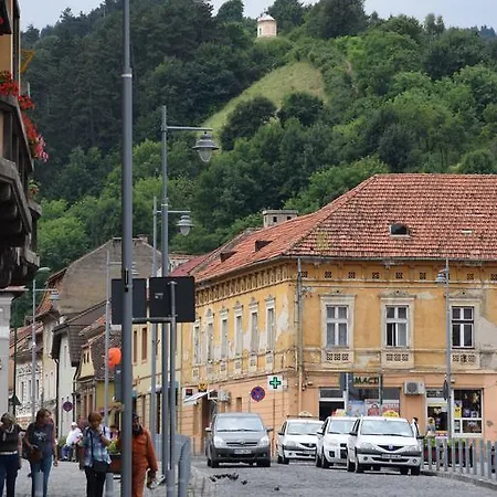 Haydn Vintage * Brasov