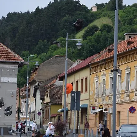 Haydn Vintage Brasov