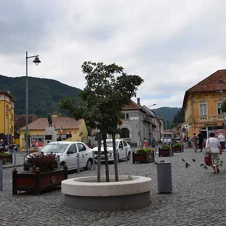 Haydn Vintage Apartment Brasov
