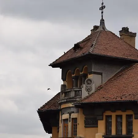 Haydn Vintage Brasov
