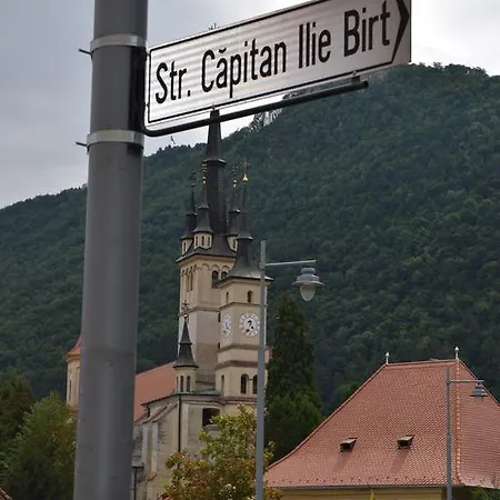 Haydn Vintage Brasov